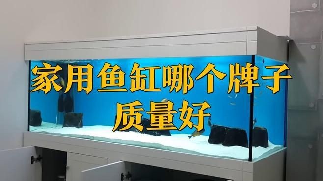 可麗愛和森森哪個(gè)好用【可麗愛和森森哪個(gè)好】