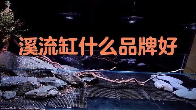 可麗愛和森森哪個(gè)好用【可麗愛和森森哪個(gè)好】