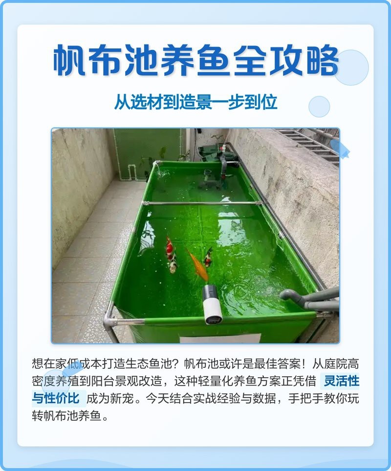帆布魚池一立方可養多少魚【帆布魚池一立方可養多少魚用帆布水池養什么魚種最好】