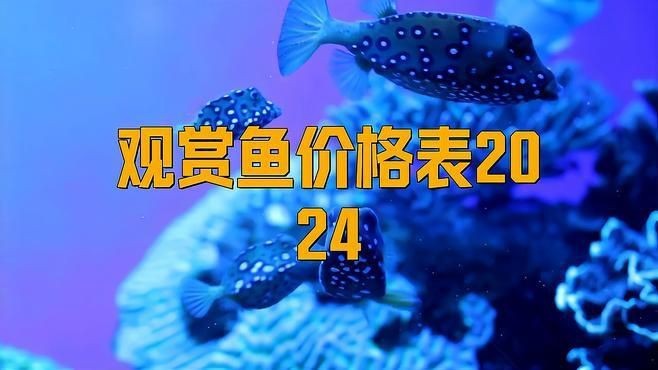 觀賞魚多少錢一條【《觀賞魚價格差異大，受多種因素影響》**】