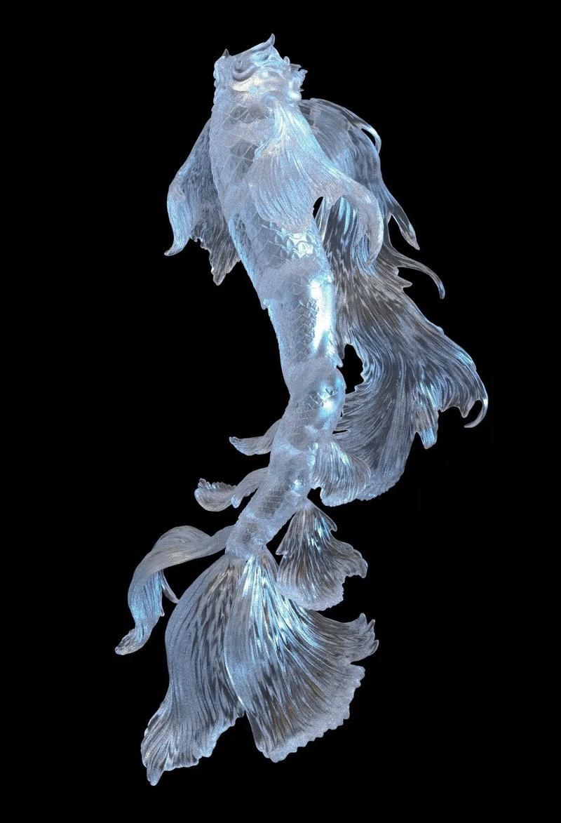美人魚尾巴圖片【《美人魚尾巴圖片：夢幻與神秘的視覺呈現》】