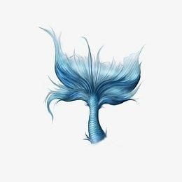 美人魚尾巴圖片【《美人魚尾巴圖片：夢幻與神秘的視覺呈現》】