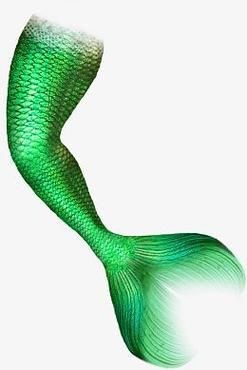 美人魚尾巴圖片【《美人魚尾巴圖片：夢幻與神秘的視覺呈現》】