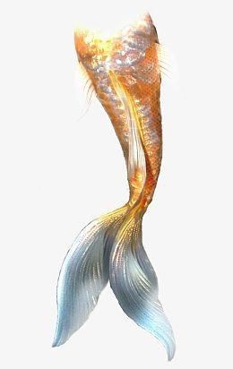 美人魚尾巴圖片【《美人魚尾巴圖片：夢幻與神秘的視覺呈現》】