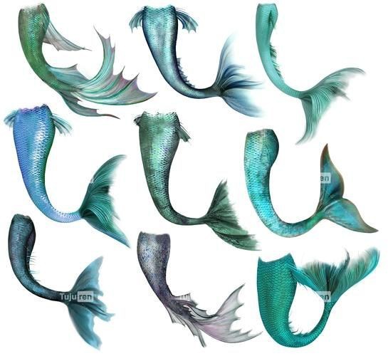 美人魚尾巴圖片【《美人魚尾巴圖片：夢幻與神秘的視覺呈現》】