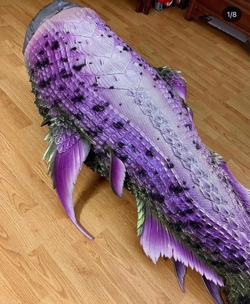 美人魚尾巴圖片【《美人魚尾巴圖片：夢幻與神秘的視覺呈現》】