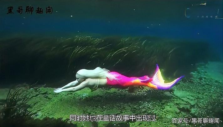 美人魚尾巴圖片【《美人魚尾巴圖片：夢幻與神秘的視覺呈現》】