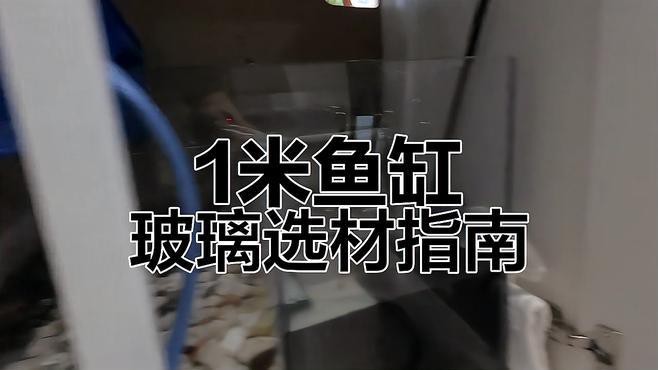 1米魚缸尺寸哪個尺寸好【1米魚缸尺寸分析】 1米魚缸尺寸哪個尺寸好【1米魚缸尺寸分析】 龍魚論壇 第8張