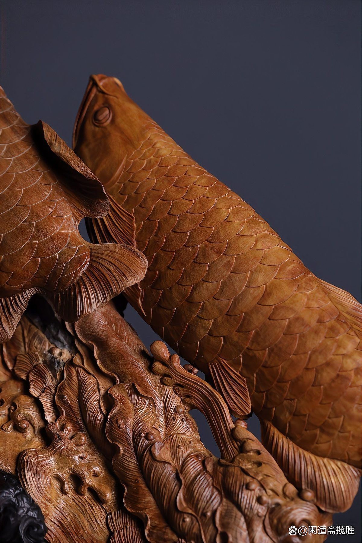 金龍魚擺件哪個品牌最好？【金龍魚擺件哪個品牌好】