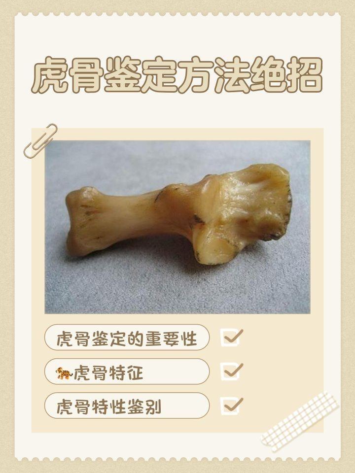 虎三界真品最明顯特征