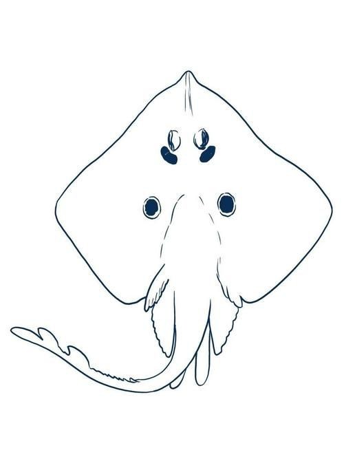 魔鬼魚Q版圖片【簡筆畫教程：魔鬼魚q版圖片以其獨特的創(chuàng)意和可愛的風格】