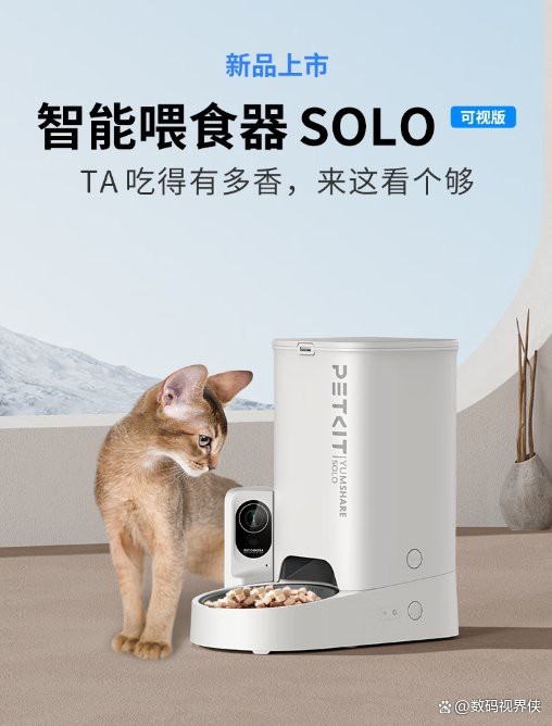 十大自動喂食器品牌【十大智能寵物喂食器品牌深度評測與選購指南】