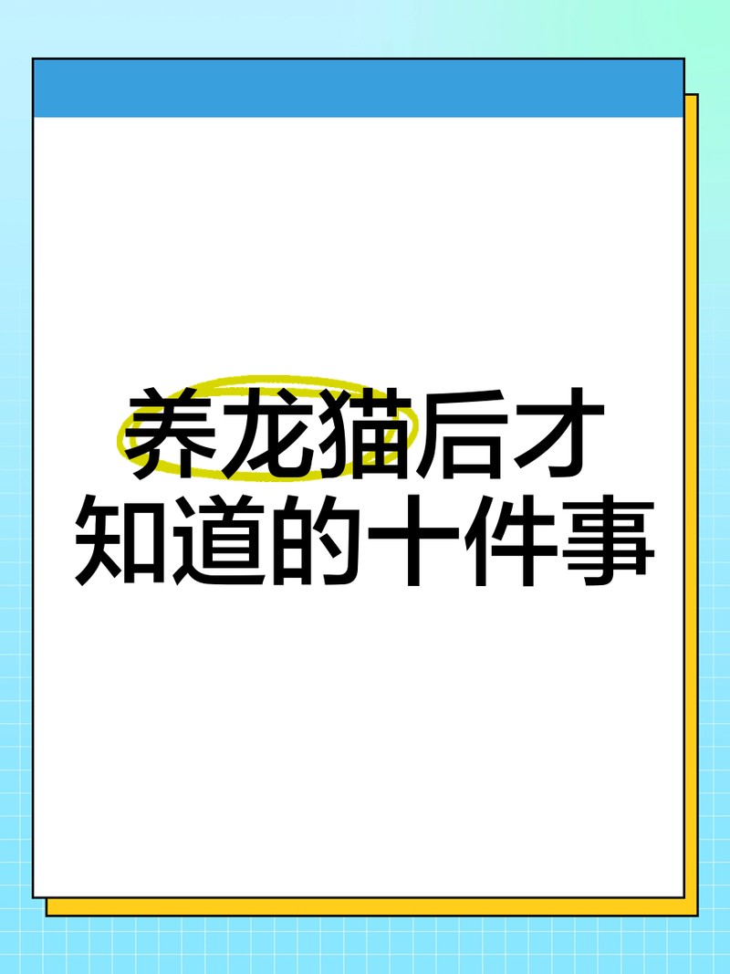 龍貓有先天性疾病最怕三個東西【龍貓先天性疾病防護指南】