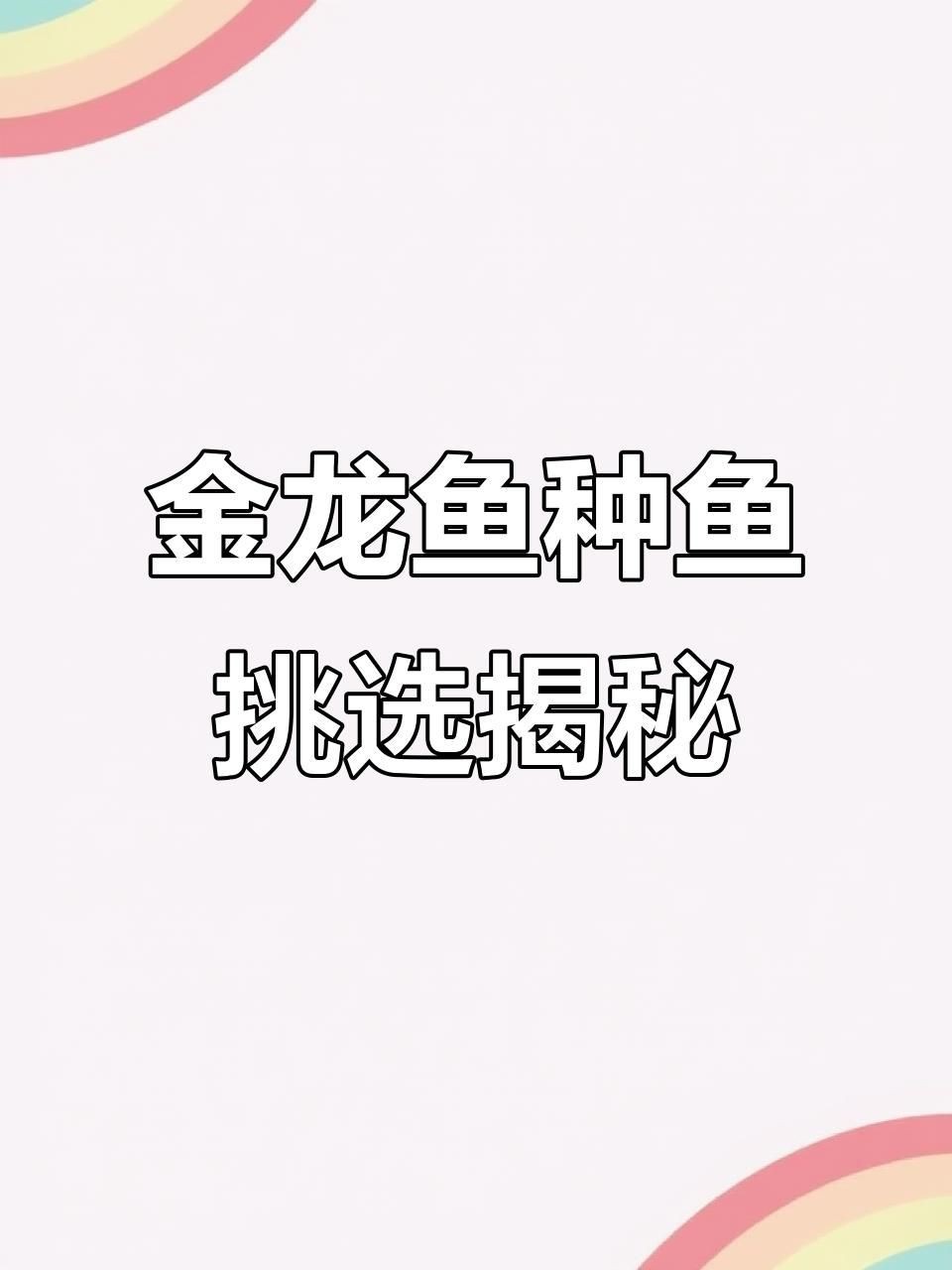 如何挑選高質量的金龍魚幼苗？【探秘馬來西亞金龍魚種魚的挑選過程】