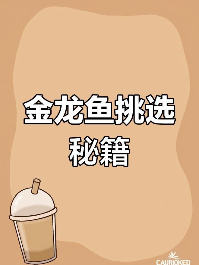如何挑選高質量的金龍魚幼苗？【探秘馬來西亞金龍魚種魚的挑選過程】