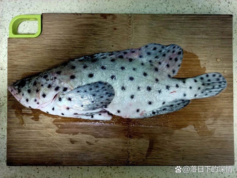 老鼠斑和東星斑哪個貴【老鼠斑和東星斑價格對比】 老鼠斑和東星斑哪個貴【老鼠斑和東星斑價格對比】 龍魚百科 第1張