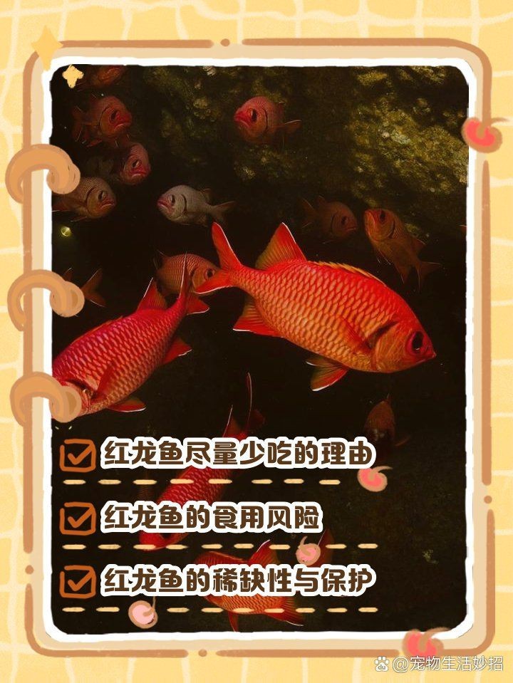 紅龍魚認(rèn)主10大忌【紅龍魚認(rèn)主過程中有諸多禁忌，環(huán)境頻繁變動(dòng)是大忌，水質(zhì)不穩(wěn)定】 紅龍魚認(rèn)主10大忌【紅龍魚認(rèn)主過程中有諸多禁忌，環(huán)境頻繁變動(dòng)是大忌，水質(zhì)不穩(wěn)定】 龍魚論壇 第16張