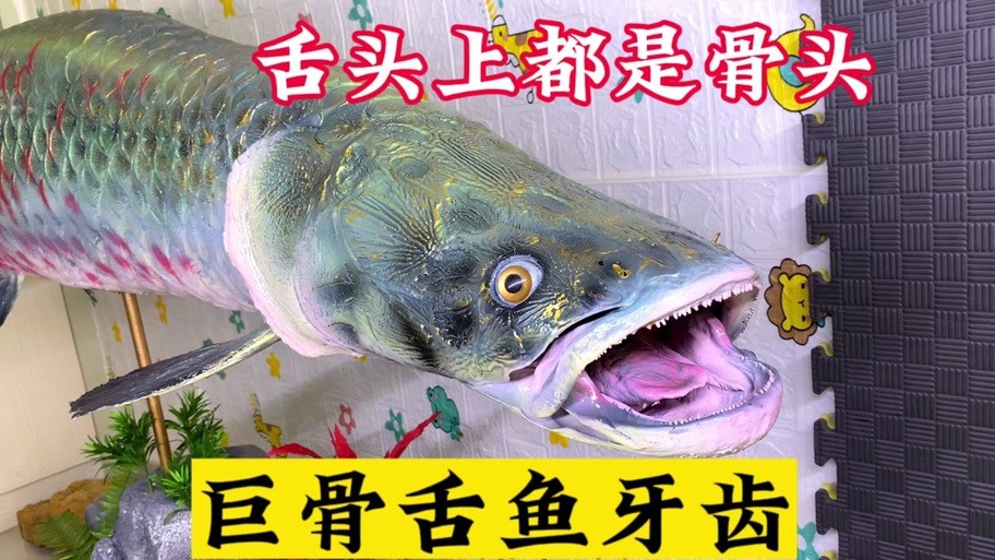帶僵尸牙的魚圖片【“帶僵尸牙的魚”圖片引發眾多猜測】