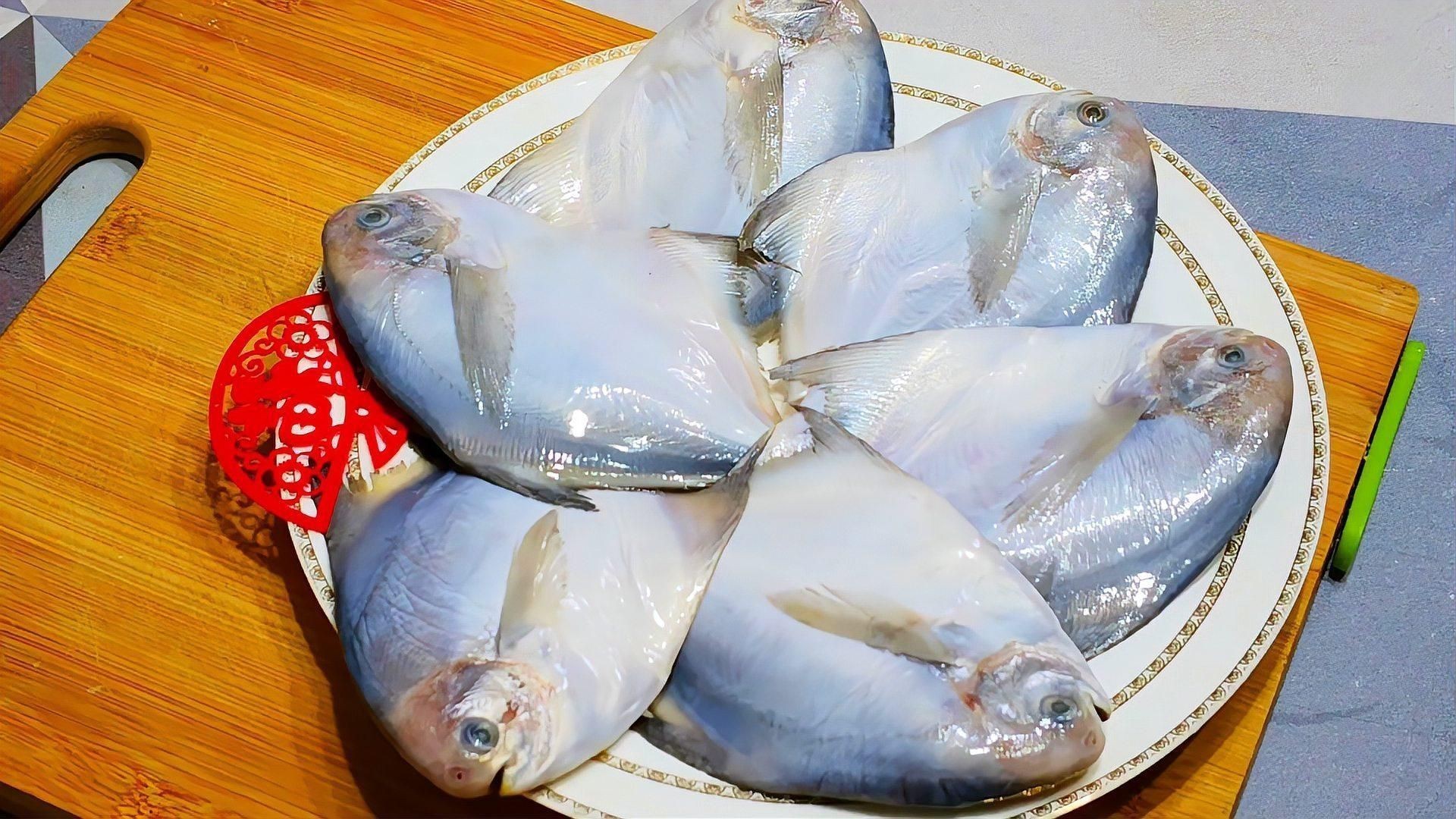 紅勾銀版魚做法大全【紅勾銀版魚做法大全紅燒銀鯧魚涼拌新做法鮮香十足】 紅勾銀版魚做法大全【紅勾銀版魚做法大全紅燒銀鯧魚涼拌新做法鮮香十足】 龍魚論壇 第1張