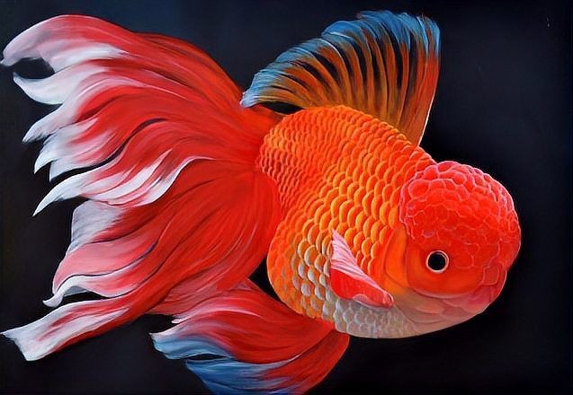 魚沉底了,只有嘴巴在動(dòng)【“魚沉底了，只有嘴巴在動(dòng)”這一現(xiàn)象展開(kāi)，魚兒沉底原因與對(duì)策】