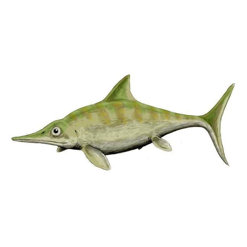 魚龍是爬行動物還是魚類【哺乳魚龍是爬行動物冷血的魚類與冷血的魚類有本質區別】