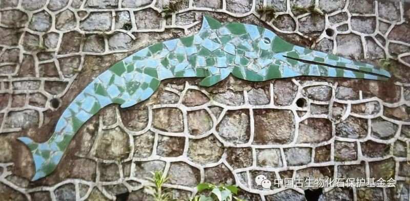 魚龍是爬行動物還是魚類【哺乳魚龍是爬行動物冷血的魚類與冷血的魚類有本質區別】