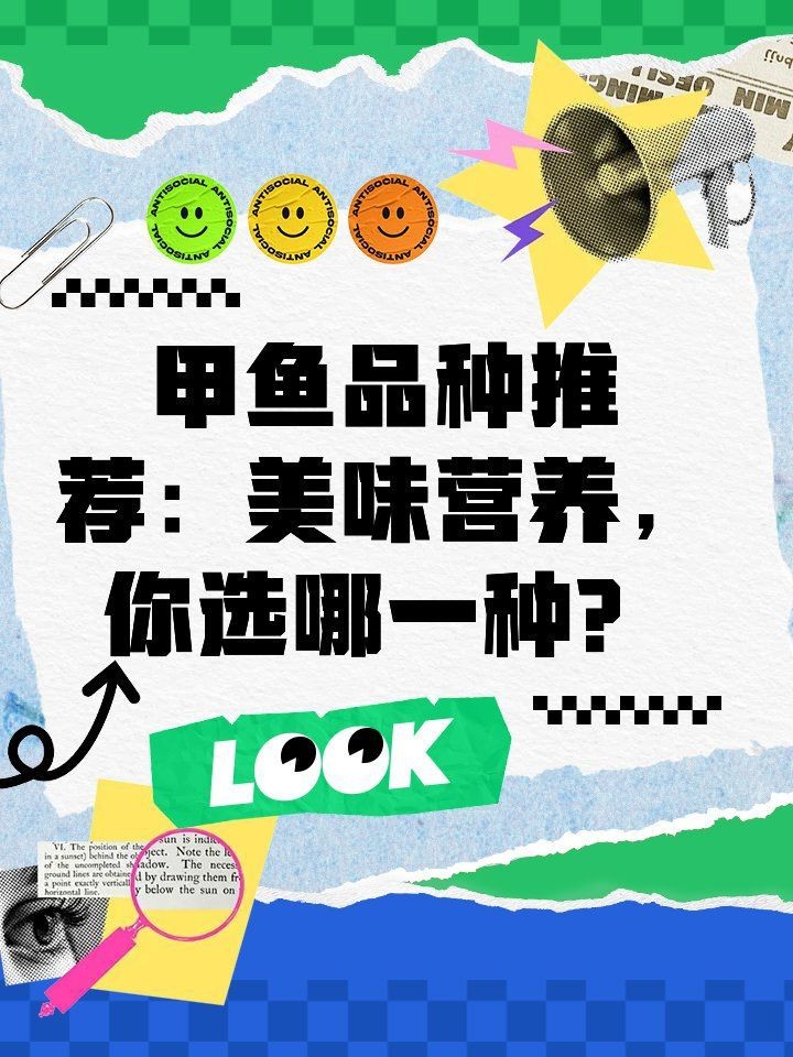 馬來西亞魟魚是雜魚還是老鱉【關于馬來西亞魟魚是雜魚還是老鱉，答案是它既不是雜魚也不是老鱉】