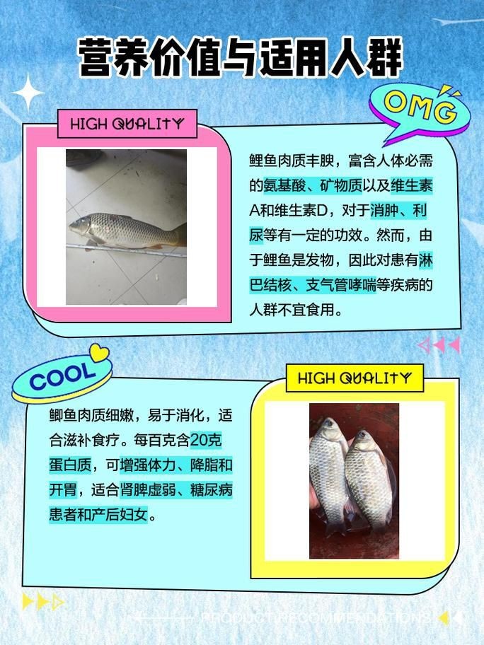 鯉鯽與鯽魚區(qū)別圖片【同樣是鯽魚】