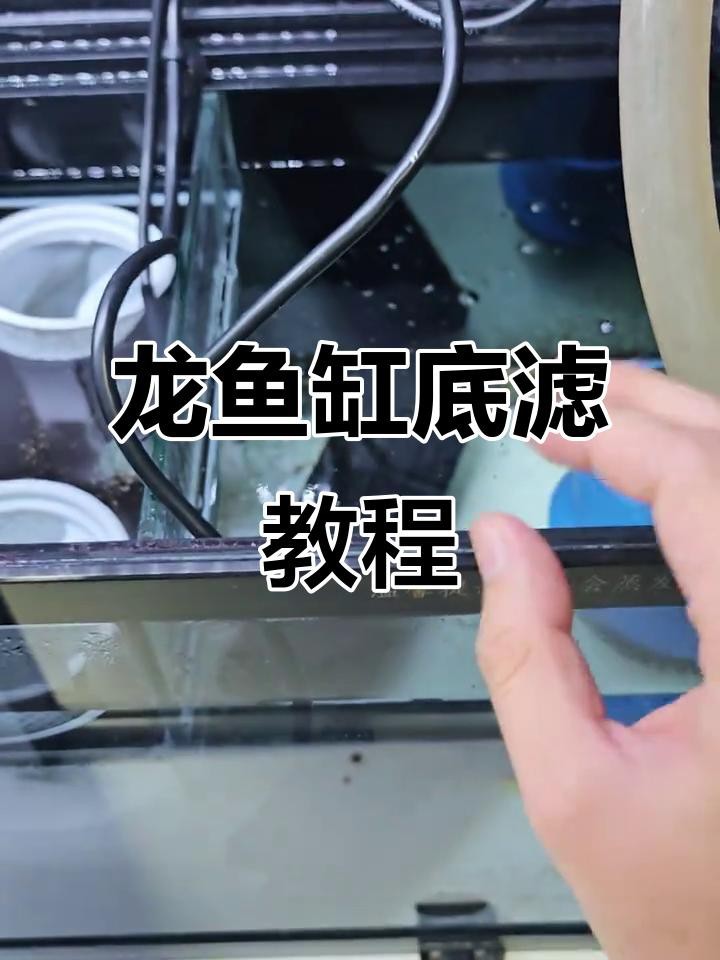 龍魚缸的過濾系統如何設置【手把手教你用100塊打造“空氣缸”核心裝備小毅說魚】