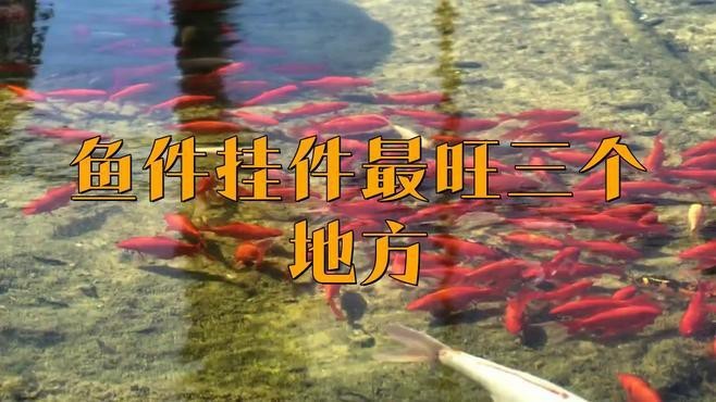 魚的擺件放在家里好嗎【金龍魚擺件擺放有講究】