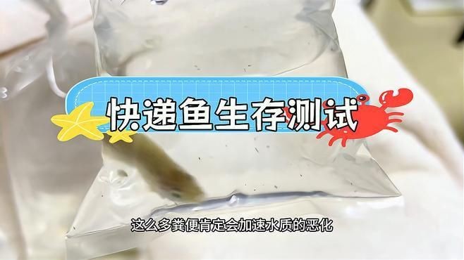 網(wǎng)上買的魚運(yùn)了5天還活著嗎【網(wǎng)上購買的魚經(jīng)過5天運(yùn)輸后是否還活著存在多種可能】