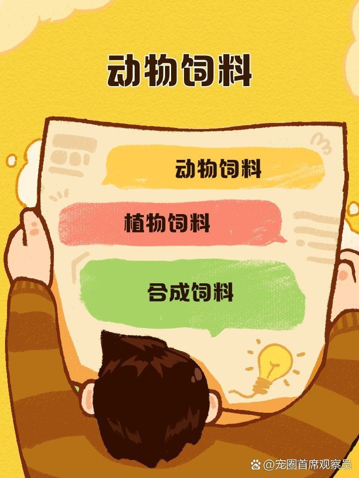 錦鯉3段最建議買的三個東西【《錦鯉3段最建議買的三個東西》】