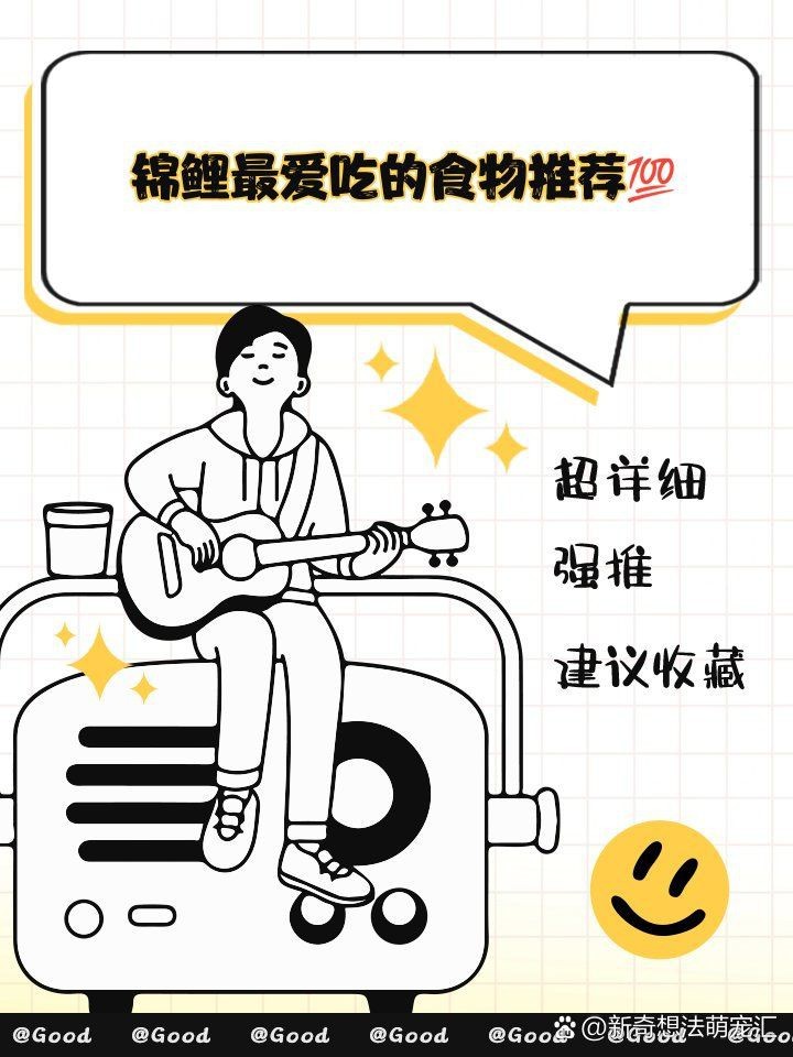錦鯉3段最建議買的三個東西【《錦鯉3段最建議買的三個東西》】