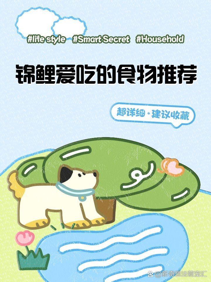 錦鯉3段最建議買的三個東西【《錦鯉3段最建議買的三個東西》】