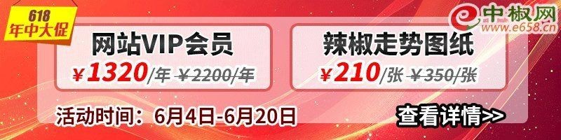 紅龍二十三辣椒價(jià)格【《紅龍二十三辣椒價(jià)格》】