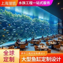 高端龍魚缸的價格范圍是多少？【高端龍魚缸價格如何一起裝修網龍魚缸水族箱品牌排行榜】