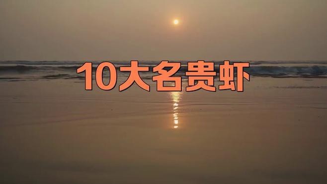 十大龍蝦中哪個最稀有？【世界十大龍蝦排行榜】