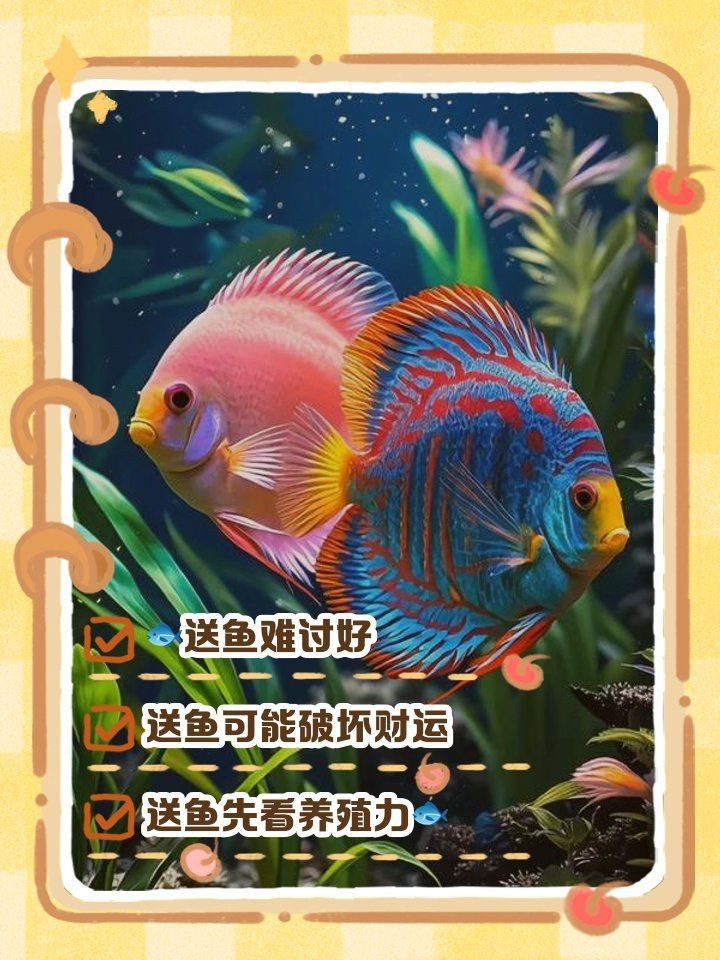 龍魚不能亂送的原因【男子好心放生“金龍魚”卻遭全網抵制】
