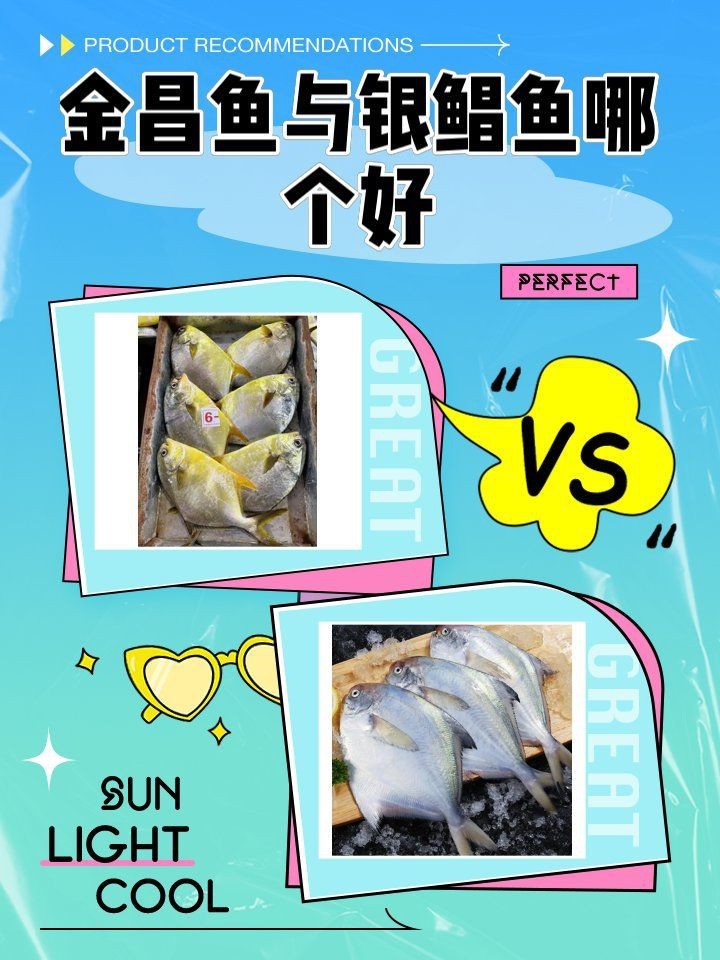 金鯧魚好還是銀鯧魚好【金鯧魚與銀鯧魚哪個好】