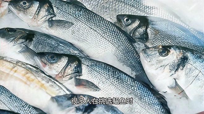 金鯧魚好還是銀鯧魚好【金鯧魚與銀鯧魚哪個好】
