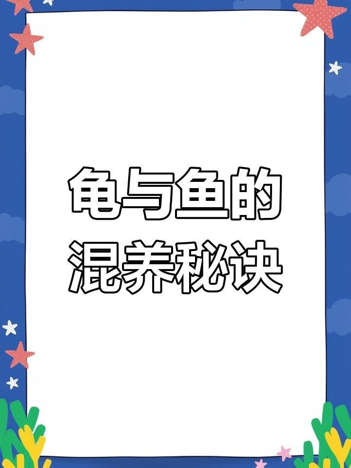 烏龜和魚一起養需要多久適應？【烏龜和魚能一起養嗎】