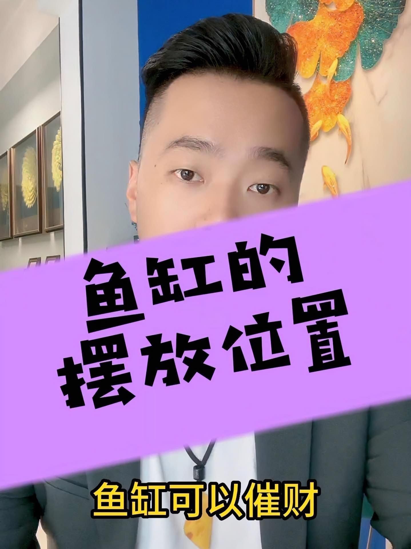 家庭魚缸的最佳擺放位置【家庭魚缸擺放的基本原則】 家庭魚缸的最佳擺放位置【家庭魚缸擺放的基本原則】 龍魚百科 第4張