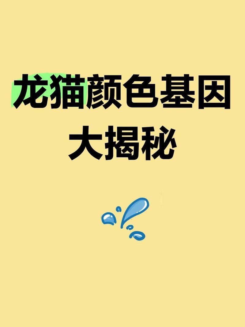 龍貓的其他顏色有哪些寓意？【龍貓的顏色大揭秘】