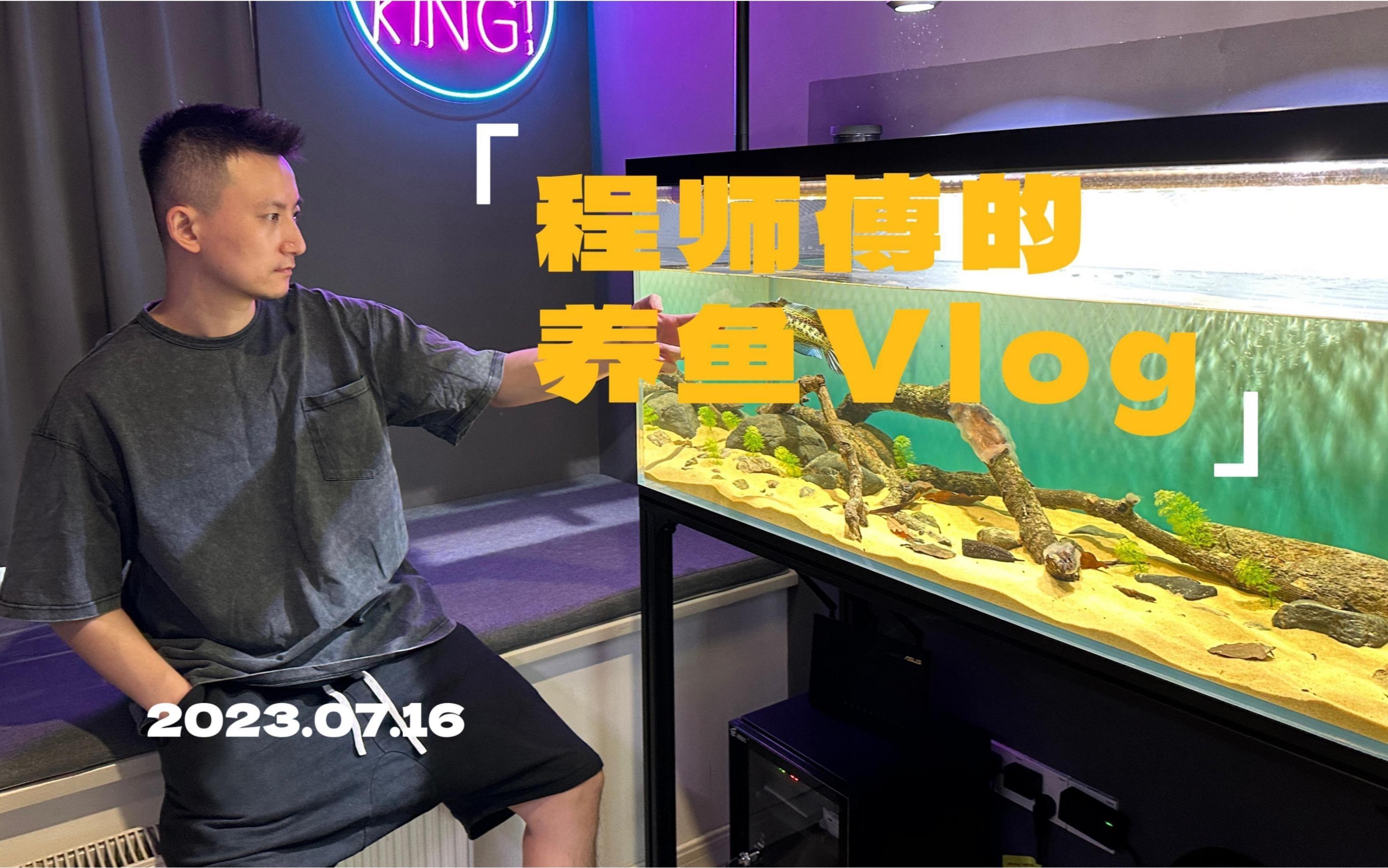 龍魚缸加蓋有哪些材質選擇？【你還不知道告訴你魚缸蓋板怎么選】 龍魚缸加蓋有哪些材質選擇？【你還不知道告訴你魚缸蓋板怎么選】 龍魚百科 第5張