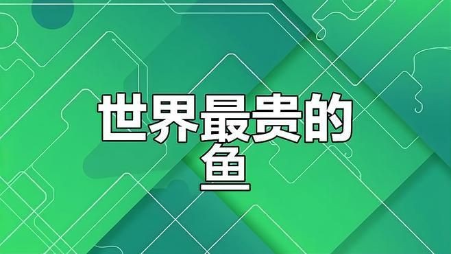 一億元的紅龍魚【一億元的紅龍魚為何能拍出百萬(wàn)高價(jià)揭秘其珍貴背后的原因】
