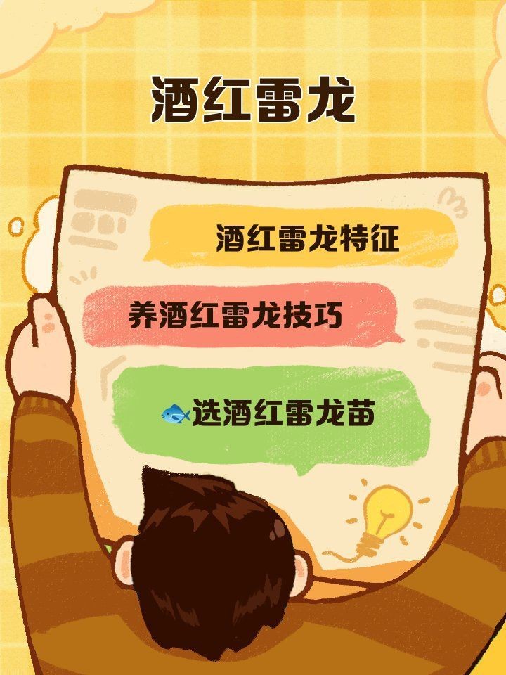 酒紅雷龍魚能長多大【酒紅雷龍怎么養？】