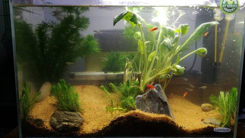 德國伊罕精巧桶水草魚缸過濾筒【德國伊罕精巧桶水流量衰減不足8%】