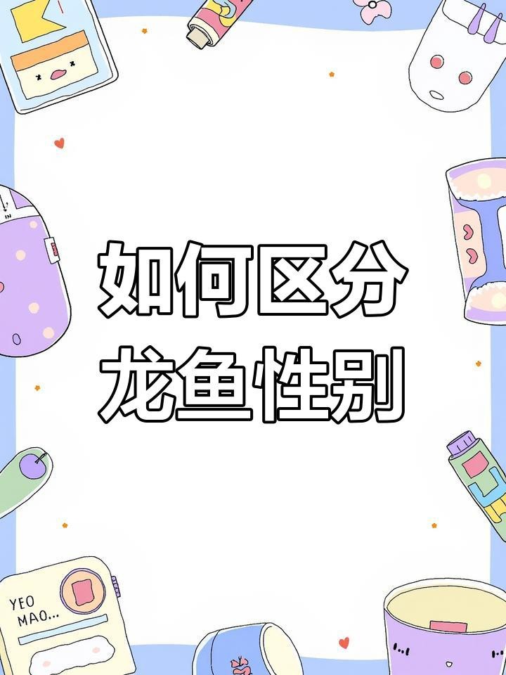 龍魚繁殖后如何區分雌雄？【如何區分龍魚的雌雄？】