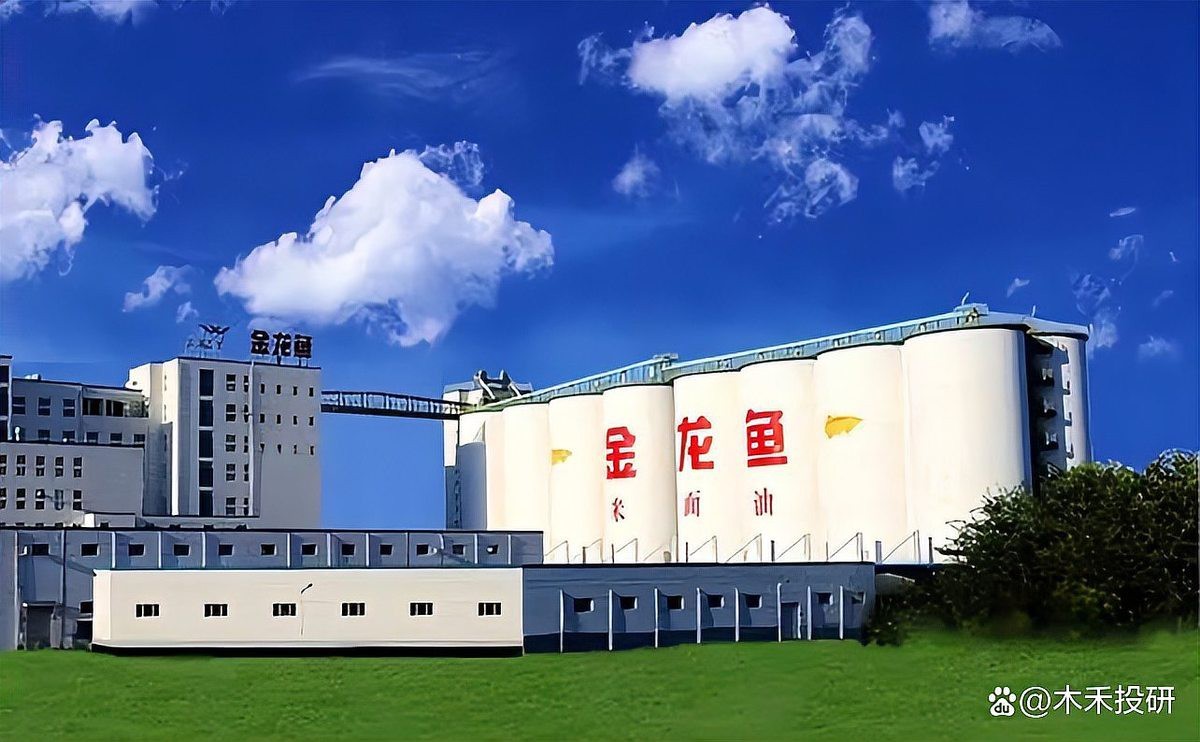 短身福龍魚的市場供需情況如何？【短身福龍魚市場供需情況分析】 短身福龍魚的市場供需情況如何？【短身福龍魚市場供需情況分析】 龍魚論壇 第1張