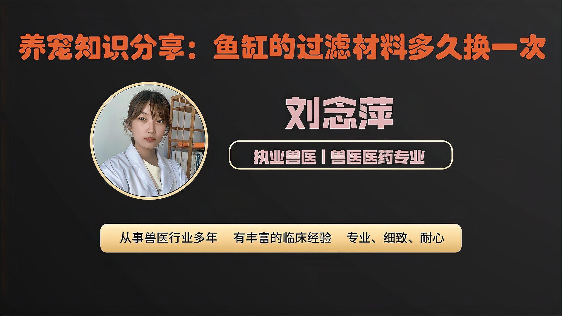 龍魚缸多久洗一次過濾棉？【《龍魚缸過濾棉清洗頻率》】